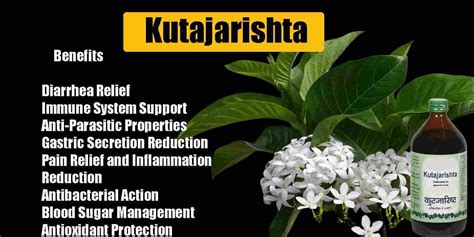 kutray medicine|Kutajarishta (Kutajarishtam) .